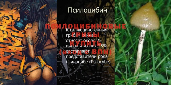 марихуана Горнозаводск
