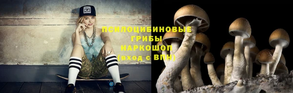 крисы Горно-Алтайск