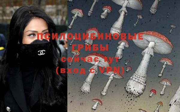 jwh Горняк