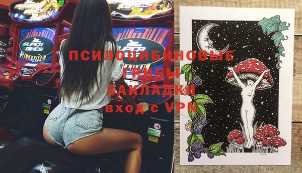 крисы Горно-Алтайск