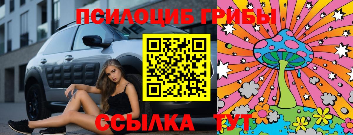 Галлюциногенные грибы MAGIC MUSHROOMS Избербаш